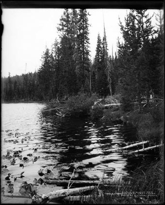 Colorado Mountain Lake